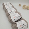 Пряжа Silky Wool