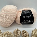 Пряжа Lana Attraente